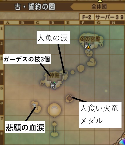 古・誓約の園マップ1